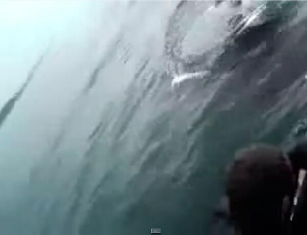 pecadoos's tweet photo. Lanza a su amigo al agua a los tiburones, lo cuenta de milagro..! - http://t.co/WdRaTrCc30 http://t.co/UTwjM1Eo2Y