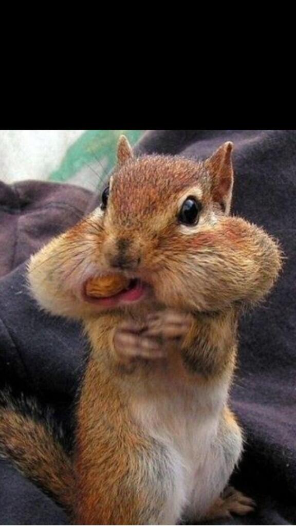 rickygervais's tweet photo. Have a great day. http://t.co/eUzx1nOBkt