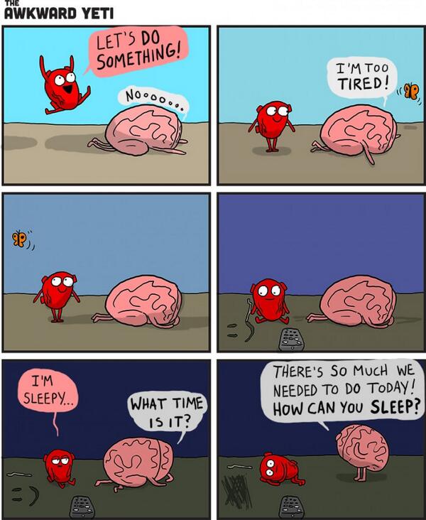 9GAG's tweet photo. Brain vs Heart http://t.co/EY6AiWy1TH http://t.co/BVD2TuarrW