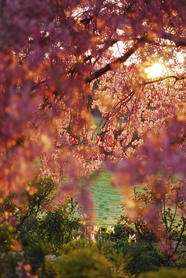 Ou_Prg tweet picture