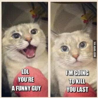 Much_luv9's tweet photo. Classic lol http://t.co/npi7y87yFR