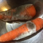 カビの生えたニンジンから カビニンジンの焼きうどん を作って クックパッドにレシピ公開したら クックパッドからお叱りの連絡が来るまでの顛末 Togetter