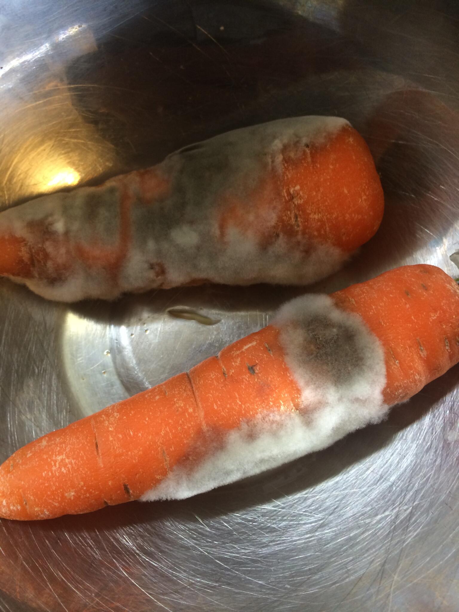 赤沼俊幸 Akanuma カビの生えた人参入りの焼きうどん作るか Http T Co Skyjfgxooj Twitter