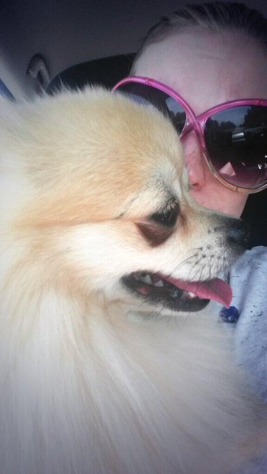 We found him!!!!!! http://t.co/vwyeLfwVGk<a href="/tag/skype"class="tags"><span>#skype</span></a><a href="/tag/orgasms"class="tags"><span>#orgasms</span></a><a href="/tag/camgirlfun"class="tags"><span>#camgirlfun</span></a>