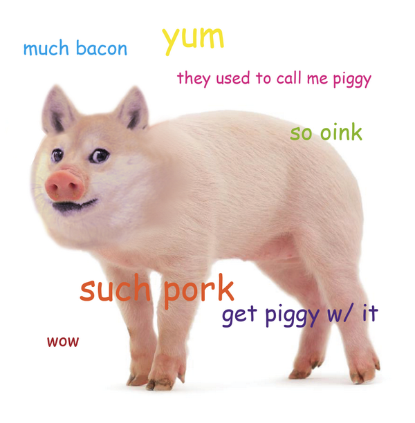 DogeTheDog's tweet photo. Wow
        So pig
    Much oink
               Very pork
  Where is bacon? http://t.co/VIOdfKnDgJ