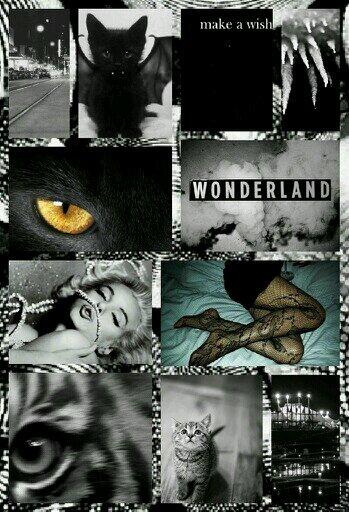 KittenLissette's tweet photo. http://t.co/2H8CEwx3k5