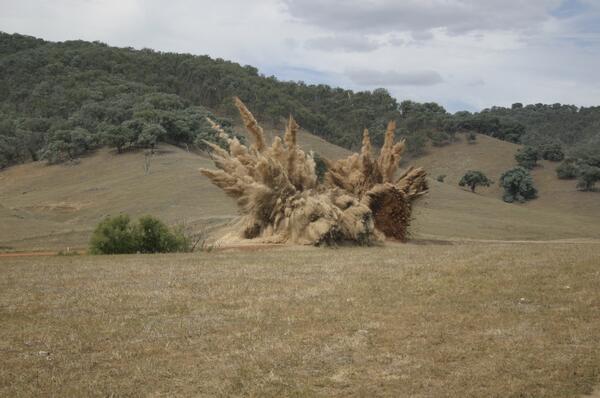 Grumpy bum tweet media