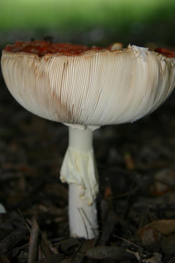 Grumpy bum tweet media