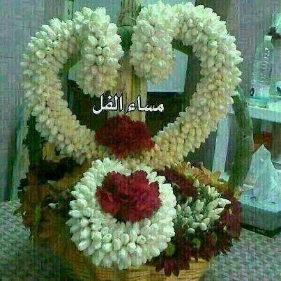 asas8834's tweet photo. اجه و احد يكلي اني احبك موت
كتله ابيش احبك ذاك اخذ كلبي
مساء الفل http://t.co/2SarwEGs1C