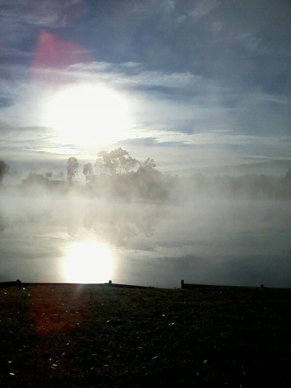 puresativas's tweet photo. Nature!!!! http://t.co/Oxr2ARkNdX