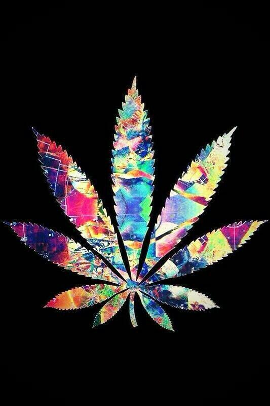 WeedModels's tweet image. #Weed