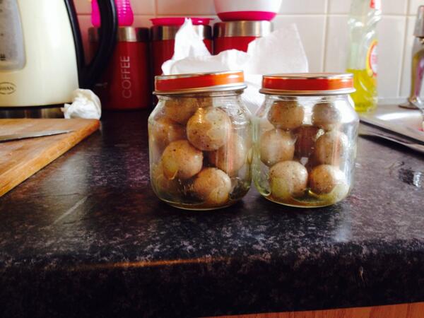 90_RAW's tweet photo. Rolling some @TeamMainline cell base and milky toffee cork ball pop ups. http://t.co/B5TRUjOXfF