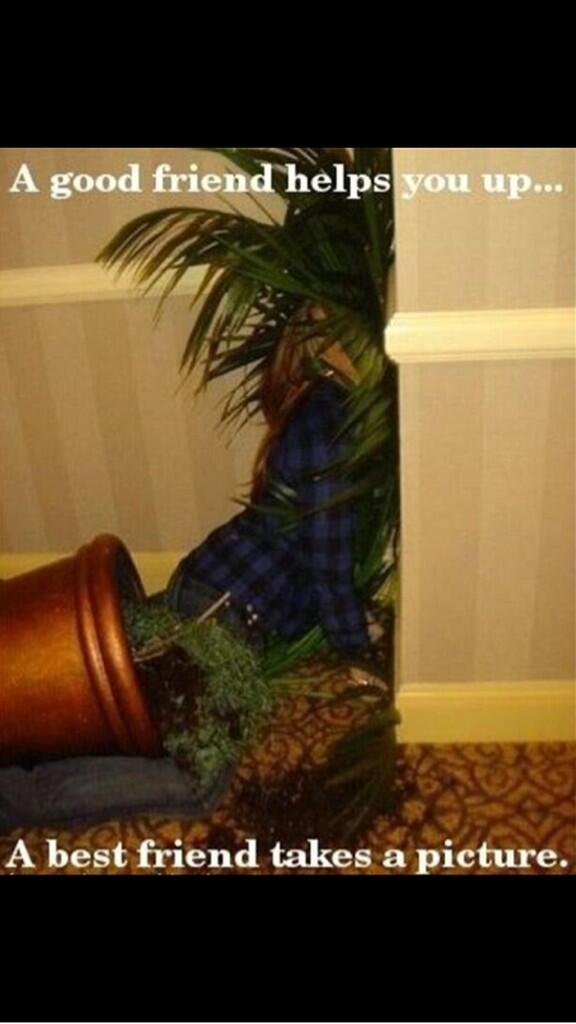 cazgoldy69's tweet image. @charleystar2106 @highflyer1903 @DunderdaleTanya @simone24 love this hahaha