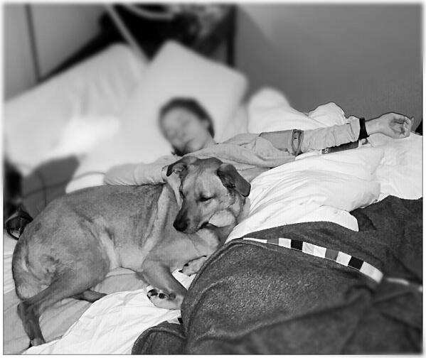 akaemilo's tweet photo. @talk910 THIS is what #MyalgicE aka #MECFS aka #CFS aka #SEID REALLY looks like. @jenbrea ty
 http://t.co/lu0Tow28pB http://t.co/lu0Tow28pB