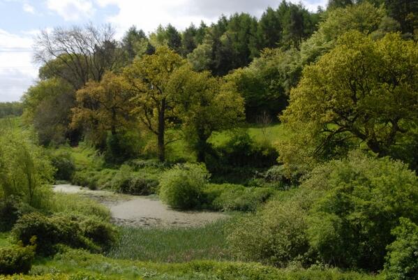 Great weather forecast this week - come to #Somerset and enjoy sights like this #greenandpleasantland