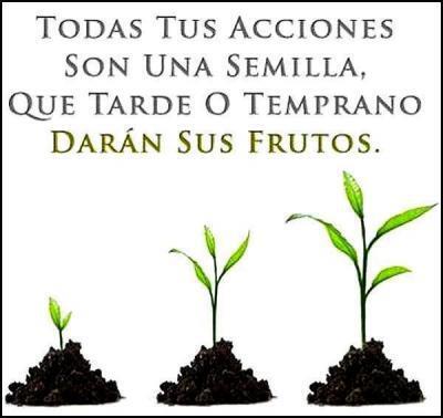 fincrece_sofom's tweet image. excelente inicio de semana!!

*El fracaso es solo la oportunidad de comenzar de nuevo de forma más inteligente*