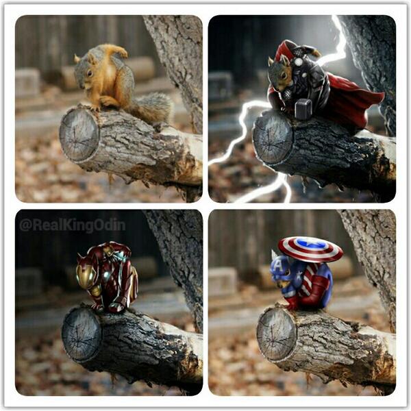 Ratatosk4's tweet photo. @RealKingOdin @SquirrelsOnly Though, really, squirrels have enough superpowers as it is...  http://t.co/zyi0P3KjTZ #SquirrelArmy