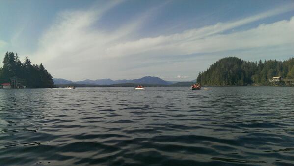 David_C_Scott's tweet image. Stuck in traffic in Bamfield inlet.....
@invertebrats #BamfieldMSC #scidive2014