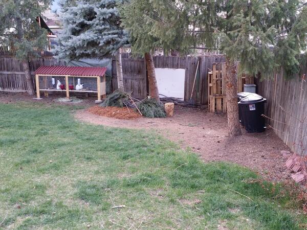 FreedomBrink's tweet photo. Creating the Backyard Homestead: Repairing The Soil by Travis Toler - http://t.co/sSzax93xdl http://t.co/88huSu0eYU