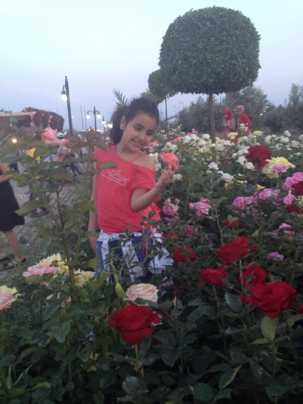 RaRan2003's tweet image. 