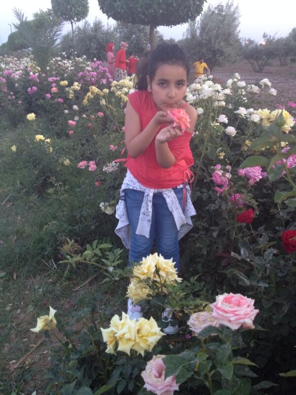 RaRan2003's tweet image. 