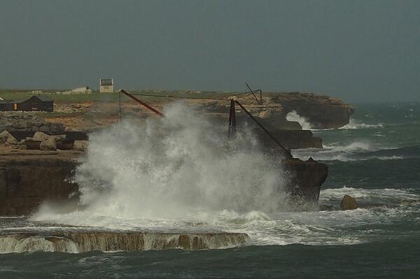 BOB ILES tweet media