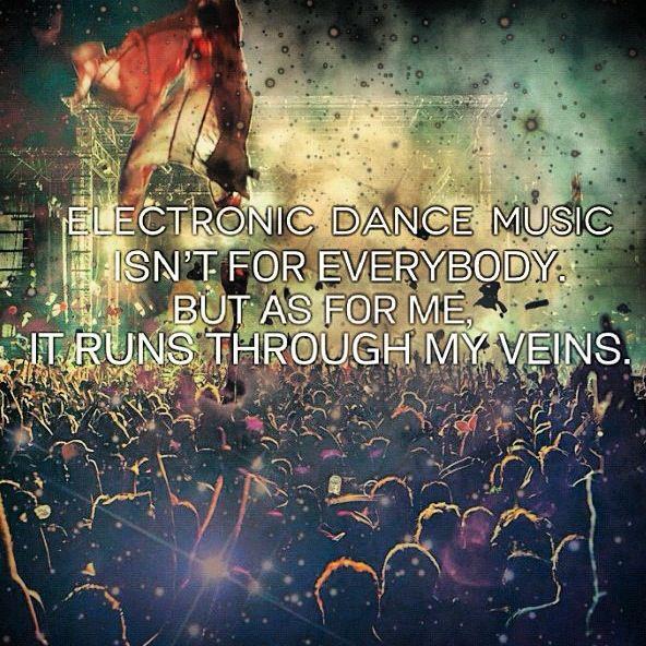 tiesto's tweet photo. RT @musicalfreedom: Musical Freedom! http://t.co/RgI5Wk30VU