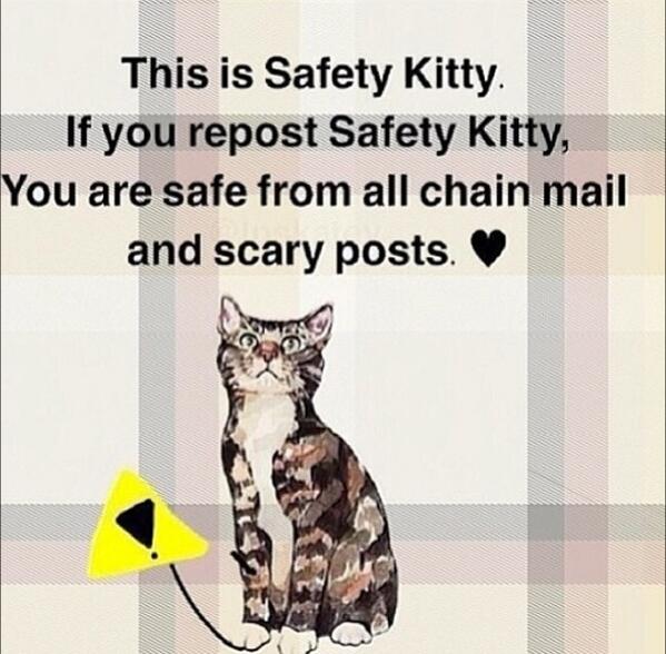 cmp466's tweet image. Safe kitty
