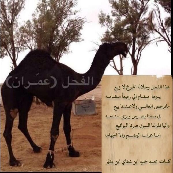 M7mdPin tweet picture