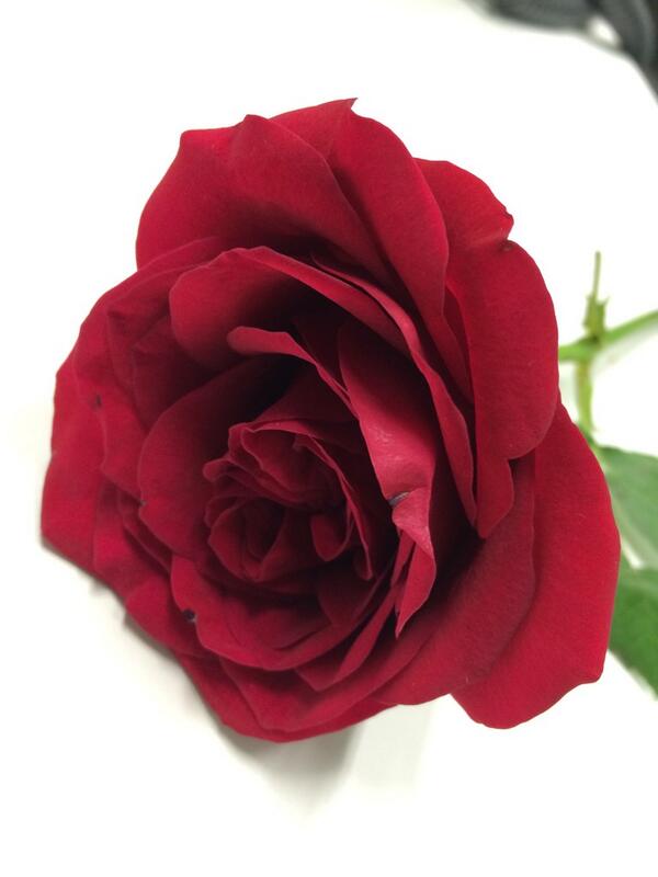 Kumar5750's tweet photo. Taken by me #iphone5s http://t.co/yRG5rzEKH6