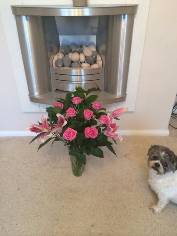 Joolaz's tweet image. Gorgeous flowers (and dog) #thankyou #superworker