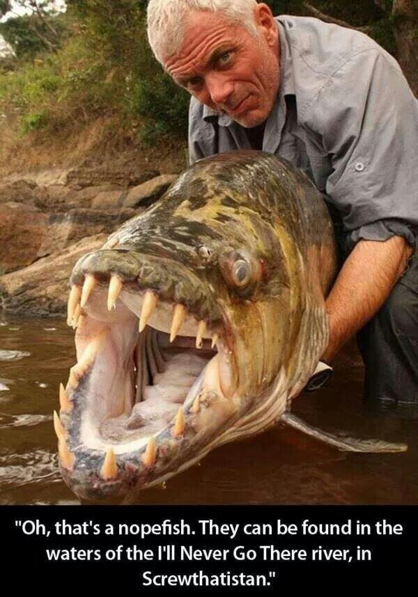 Monster