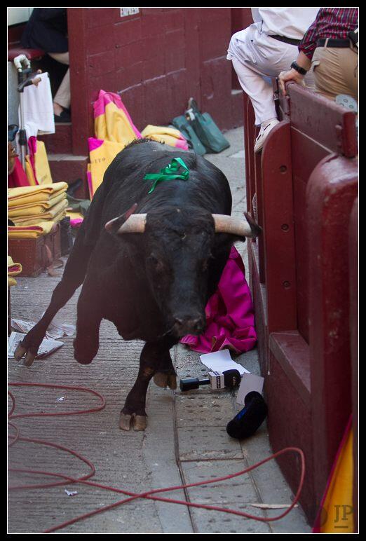jpelegrin_71's tweet photo. El cuarto corriendo por el callejón de @LasVentas_ http://t.co/A8rxSvuI4i
