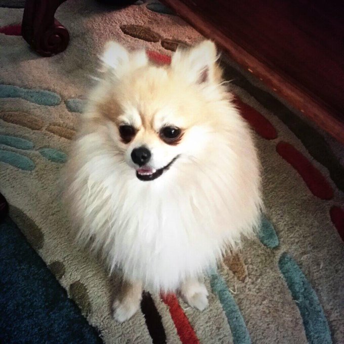 Home safe and sound :) thank you for help/thoughts/prayers everyone <3 http://t.co/igJ8b5ApAK<a href="/tag/ombre"class="tags"><span>#ombre</span></a><a href="/tag/normal"class="tags"><span>#normal</span></a>