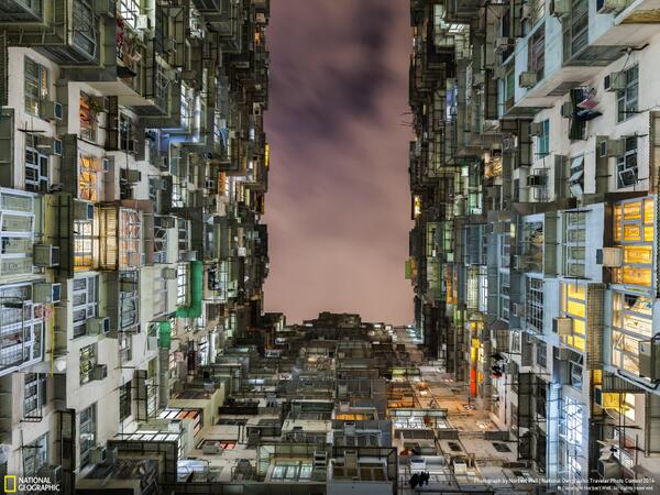 NatGeo's tweet photo. Living in a box: http://t.co/1wF3x13xK1 http://t.co/JQHbYbIdXU