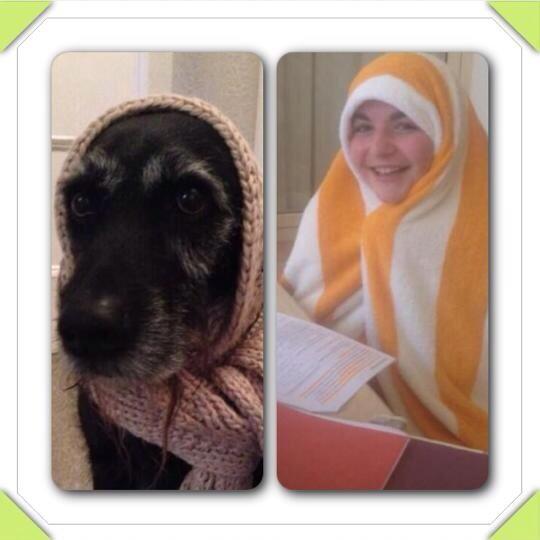 Lizziejacksonn's tweet photo. Still creasin at the picture of Ruth and my dog someone send help http://t.co/P75QXjUQBm
