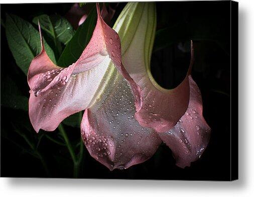 Bikepacking Life tweet media