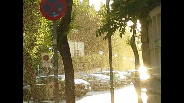 fjbravo3's tweet photo. Menuda plaga de mosquitos tenemos en Jaén.... La foto que me han enviado lo dice todo... 😨😬😱😱😱😱😨😨😨😨😱😬😨😨 http://t.co/jHT8E33Vj5