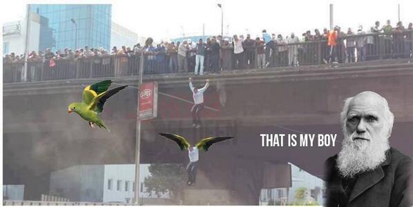 comiccornerv's tweet image. #evolutionisreal—