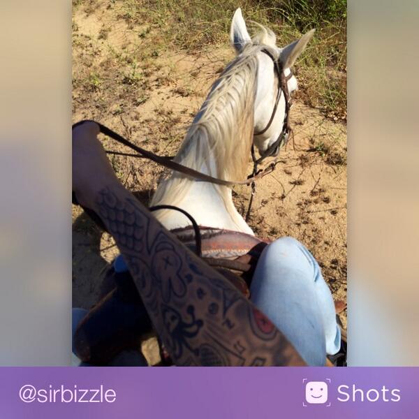 Eet840Iooo's tweet photo. "@justinbieber: pure breed stallion http://t.co/pk2iVdguxZ #selfie http://t.co/sGYnaynHAV"