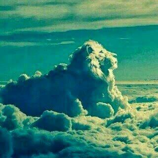 DADZAL75's tweet photo. http://t.co/tYwFTld1HS