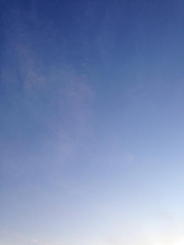 falleninx's tweet image. blue boo baby thinking of u