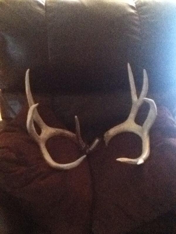 wiegand_nick's tweet photo. What my dad finds in the woods!!! #deer #13pointer #broke http://t.co/MqMjGmZQpB