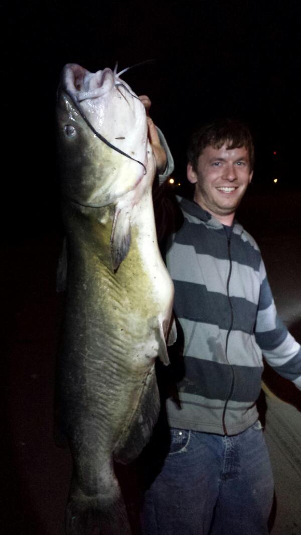 mojo_catdaddy's tweet photo. 18lbs 33in #holdituptothecamera http://t.co/B1GRS7911f