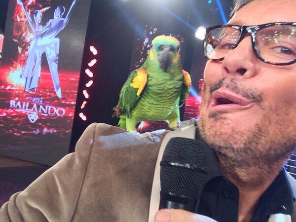 cuervotinelli's tweet image. La selfie de la lora!