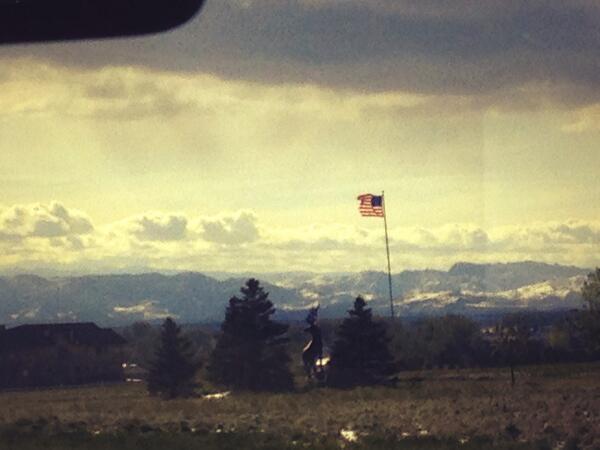 Michael Petrun tweet media