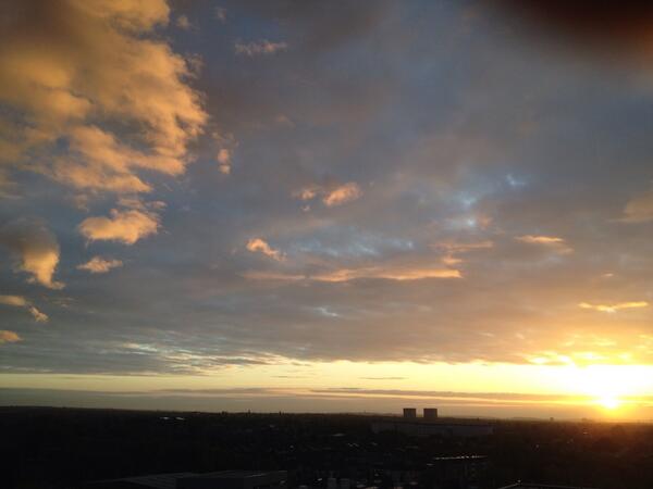 Maya Campbell tweet media