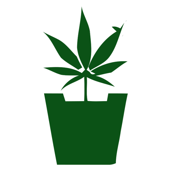 MarihuanaNovato's tweet photo. Amante del autocultivo de #Marihuana. Me encanta experimentar e innovar en métodos de cultivo. http://t.co/n0mL80MvNd http://t.co/tPGGvfoXC3