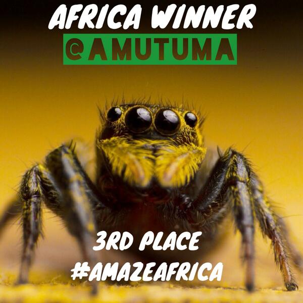 CONGRATULATIONS @amutuma! 3rd place #AmazeAfrica WINNER! You've won a #Samsung #GalaxyS4 Mini! instagram.com/p/n7uj6GxIeN/