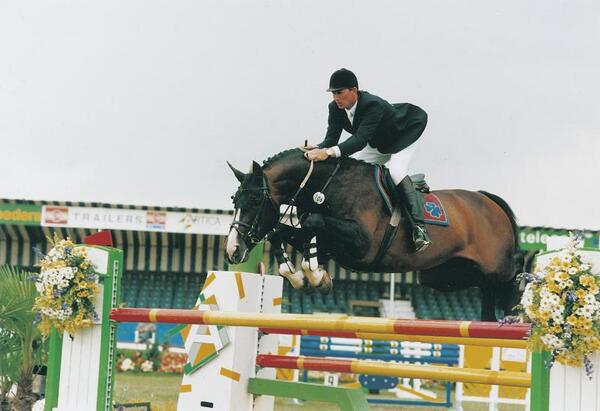 The legendary stallion Concorde turned 30 years old last weekend #showjumping #legend #TeamNijhof